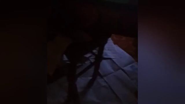 Танк из картона своими руками. смотреть онлайн