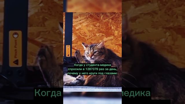 Есть ли здесь студенты-медики 😁?