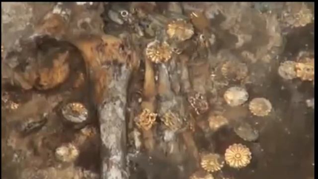 Столько золота я еще не видел. Просто куча. смотреть онлайн