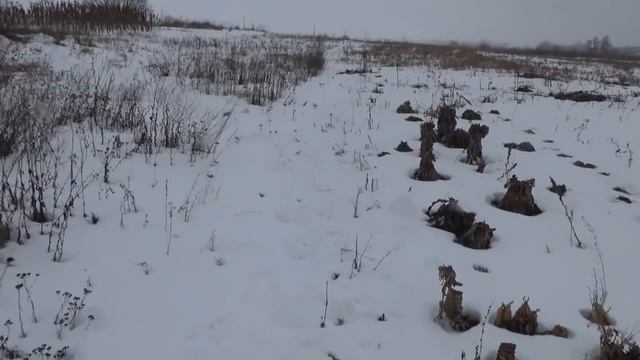 Хотел починить насос.....Вирджиния 15 смотреть онлайн