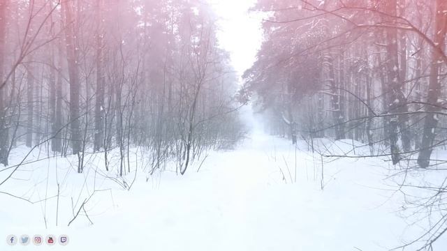 Осенний вальс. Самая красивая мелодия в мире! Сборник ЛУЧШИХ Мелодий от которых мурашки по телу смотреть онлайн