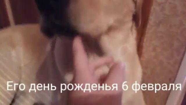 Mini знакомство