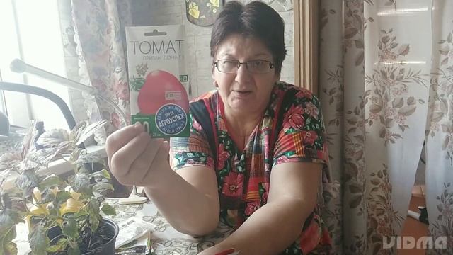 Подкормки для растений. Еще немного семян. Фитолампа выручает. смотреть онлайн