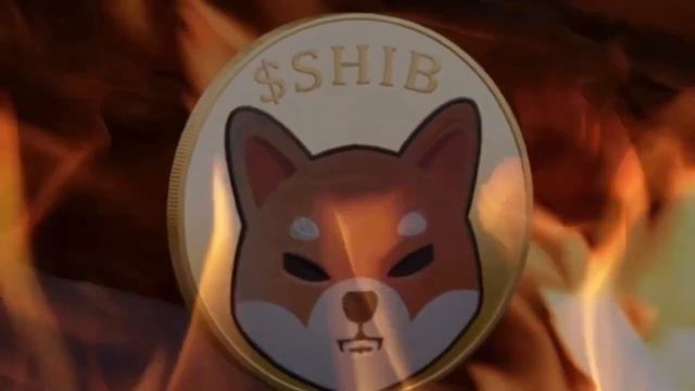 Поможет ли DogeCoin Взлететь Shiba Inu? смотреть онлайн