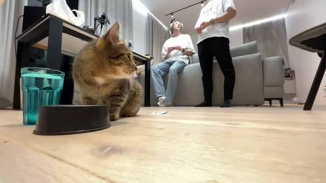 ХАЗЯЕВА ДОМА С ПАЦАНАМИ смотреть онлайн