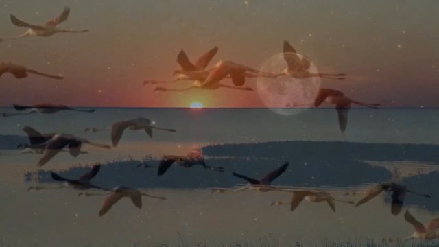 "Маревом розовым" - Читает автор Ирина Деева; Стихи из журнала "Художественное слово"; смотреть онлайн