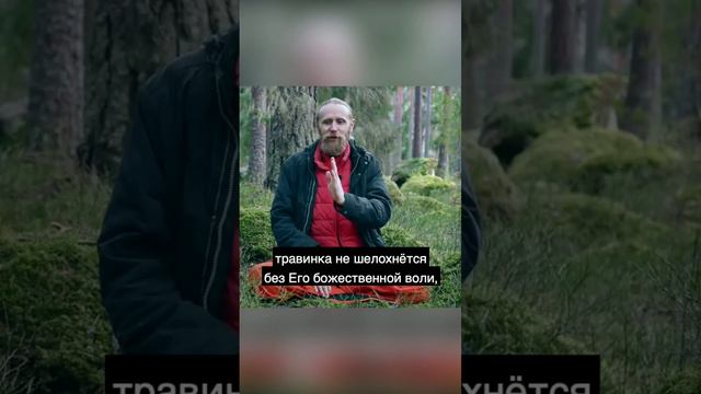 Все предопределено или все зависит от меня смотреть онлайн