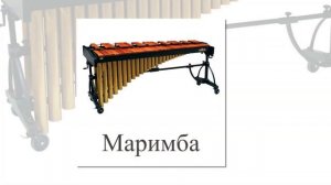 Музыкальные инструменты. Карточки и видео для детей. Презентация для детей.