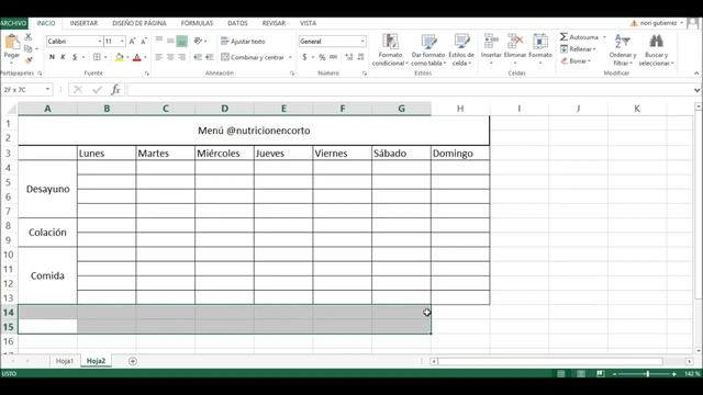 Plantilla de menú semanal en Excel | Excel para nutriólogos смотреть онлайн