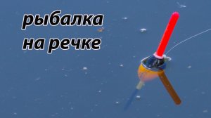 Рыбалка на поплавок 17 мая 2022 на реке.