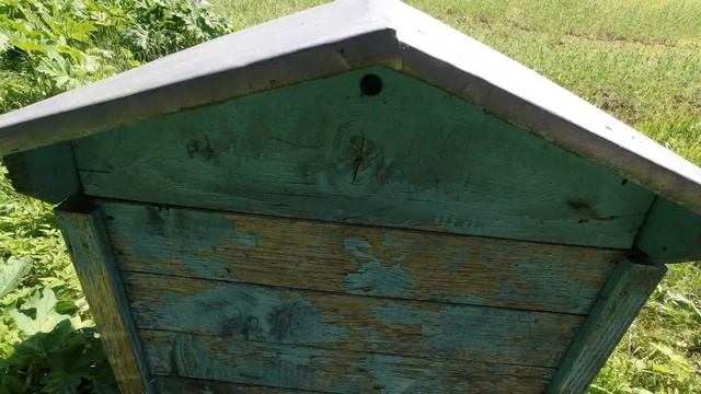 РАБОТА НА ПАСЕКЕ/ПАСЕКА ЗАЛИТАЯ МЕДОМ смотреть онлайн