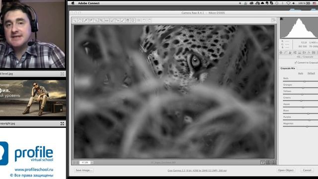 Онлайн мастер-класс "Adobe Camera Raw". Андрей Журавлев смотреть онлайн