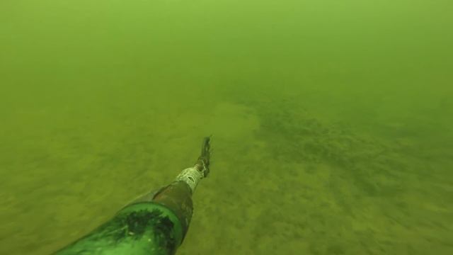 охота на угря 2 (hunting for Eel 2) смотреть онлайн