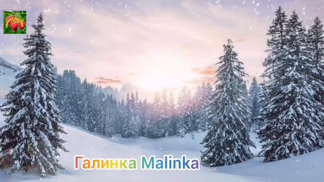 Жубревы Life Vlog /Тарантины/Обзор Влогов /Родители думают только о себе / смотреть онлайн