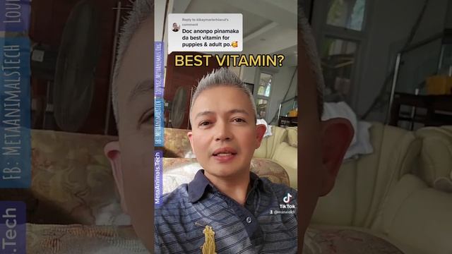 BEST VITAMIN FOR DOGS AND PUPPIES? #vitamins #dogs #puppies #pets #MetaAnimals #SDN #BestDogFood смотреть онлайн