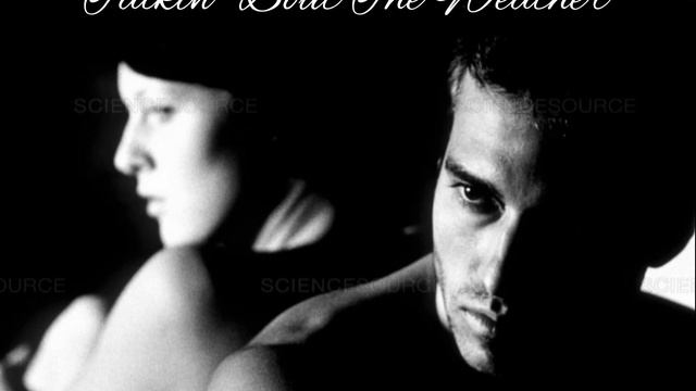 Talkin' 'Bout The Weather - Scott Foster (Background vocals by Julie Malesytcki) смотреть онлайн