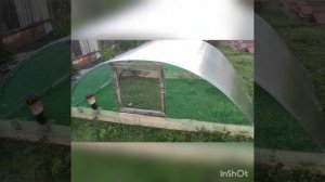 Уход и содержание индюшат Экономичный летний дом для индюшек