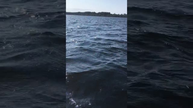 Онега троллинг Щука на 10 5 кг смотреть онлайн