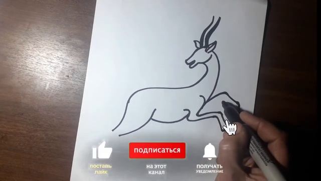 Kiyik Rasmini Chizish. Rasm Chizish. How To Draw A Deer.