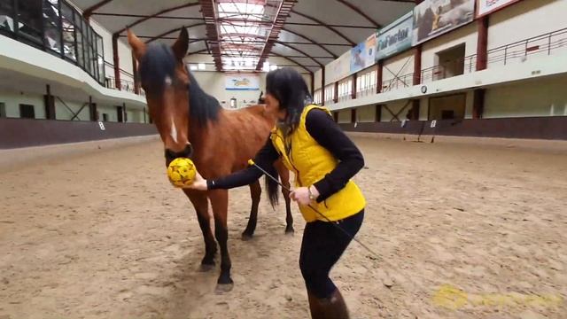 Аппортировка и разные её варианты. Мини видео смотреть онлайн