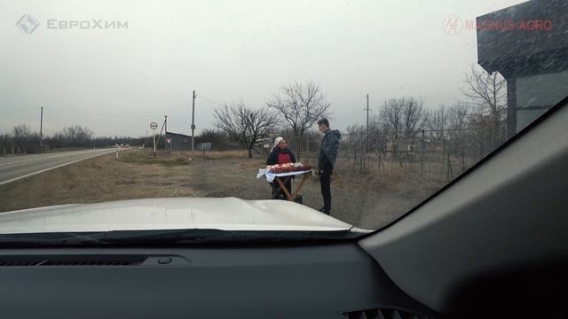 Со своего огорода!!! Клубника ГМО на Юге России смотреть онлайн