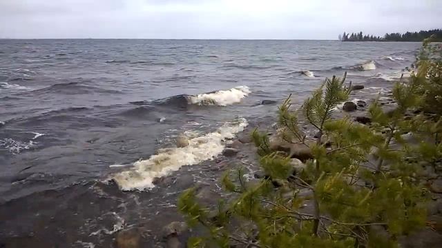 Выг Озеро Северный ветер - июнь 2014 смотреть онлайн