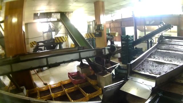 Шри-ланка 2015 смотреть онлайн