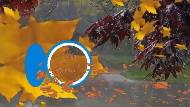 Здравствуй осень! смотреть онлайн