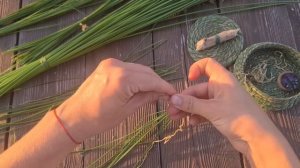 Очень простой метод плетения из лесной травы. Делаем корзинку или циновку (Ительменское плетение)