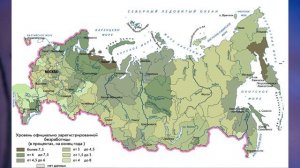 §20 "Россияне на рынке труда", География 8 класс, Полярная звезда