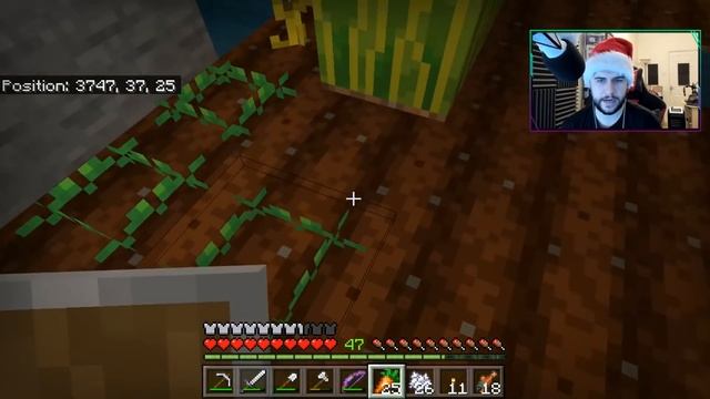 Creating BEE Farm & Animal Farms! - Minecraft Underground Survival Guide (11)