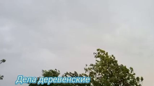 22 июня 22 года. Гроза в Дюсметьево. смотреть онлайн