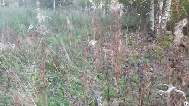 Разрушенный детский лагерь смотреть онлайн