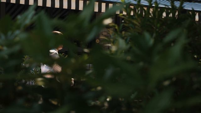 Mamai-cale. Обед в лесу. смотреть онлайн