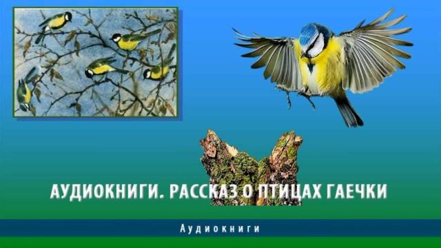 Гаечки, Михаил Пришвин, Рассказы о птицах , читает Павел Беседин смотреть онлайн