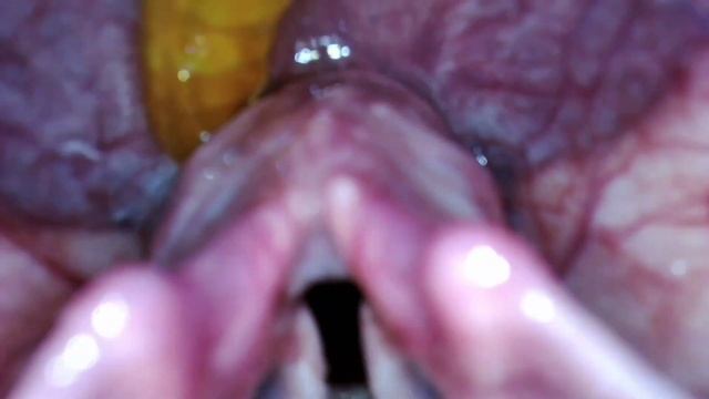 Gummy Worm Swallow смотреть онлайн