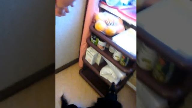 Сделай Это С Удовольствием