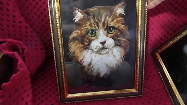 ГОТОВЫЕ КАРТИНЫ.РИОЛИС.РУССКАЯ ГОЛУБАЯ.РЫЖИЙ КОТ.СЕРАЯ КОШКА. смотреть онлайн