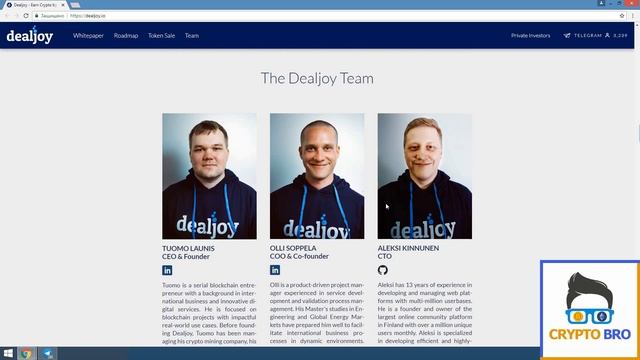 Разбор ICO DealJoy от CRYPTO BRO | Команда, советники и Roadmap смотреть онлайн