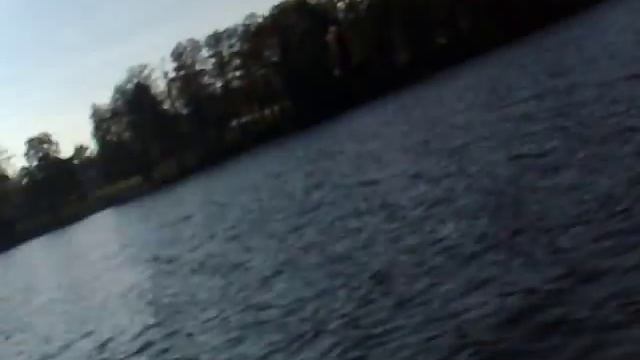 Suzuki DF6s , ZODIAC 310 смотреть онлайн