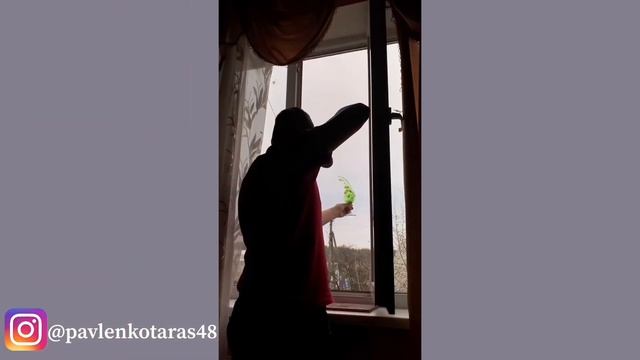 Фотографии нового уровня/Поразительние Фотоэффекты/Taison смотреть онлайн