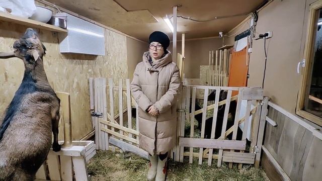 SOS ! Срочно нужна ваша помощь . смотреть онлайн