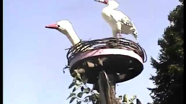 Борисовский психоневрологический интернат д. Тарасики. Клип «Мамочка моя» смотреть онлайн