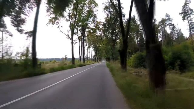 ВЕЛОБЛОГ.  Катнули Старая Купавна. Рыбхоз