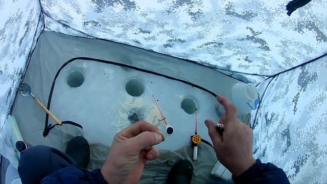 Рыбалка на Чарыше! Андатра на зимнюю удочку! смотреть онлайн