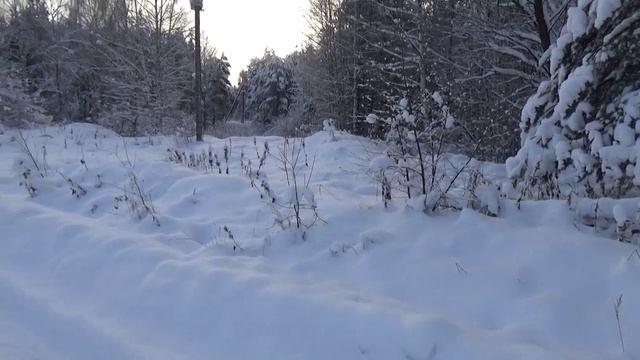 Заснеженный лес..avi смотреть онлайн
