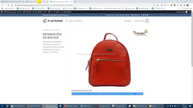 Configurar portfolio de servicios con la plantilla Flatsome de Wordpress смотреть онлайн