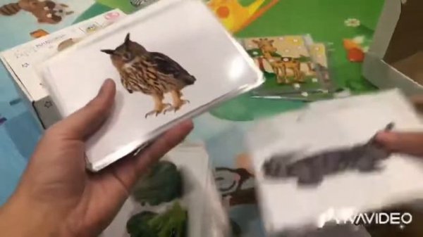 РАЗВИВАШКИ ДЛЯ РЕБЕНКА??РАЗВИВАЮЩИЕ КАРТОЧКИ «УЧИМСЯ ГОВОРИТЬ» ОТ KIDSPEAK ?