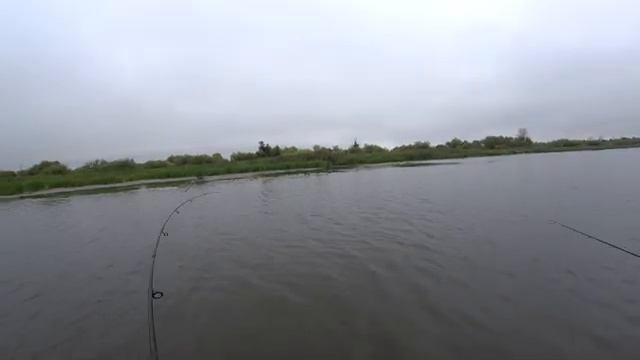 ОГО!ЧТО ЩУКИ ВЫТВОРЯЮТ! Ловля щуки на спиннинг в августе 2021.