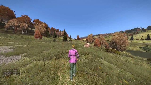 DayZ - Crazy Grandma and Elastic hands!!! (DayZ Standalone Funny Moments!) смотреть онлайн
